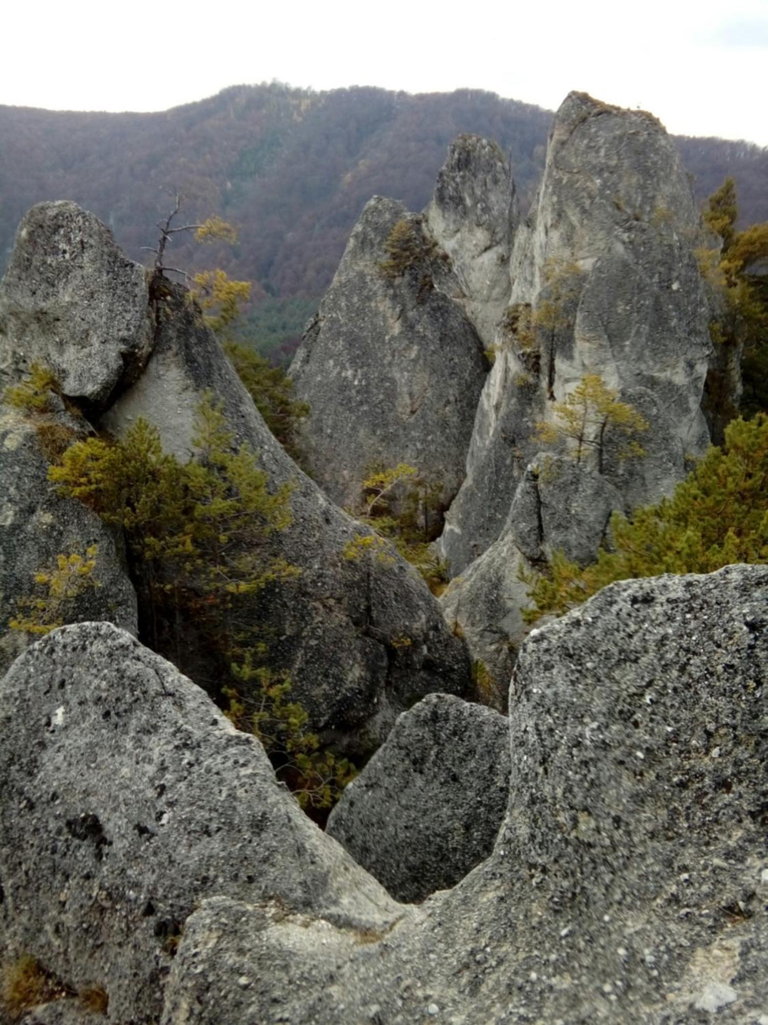 Castle Kastiel Kotesova Διαμέρισμα Εξωτερικό φωτογραφία